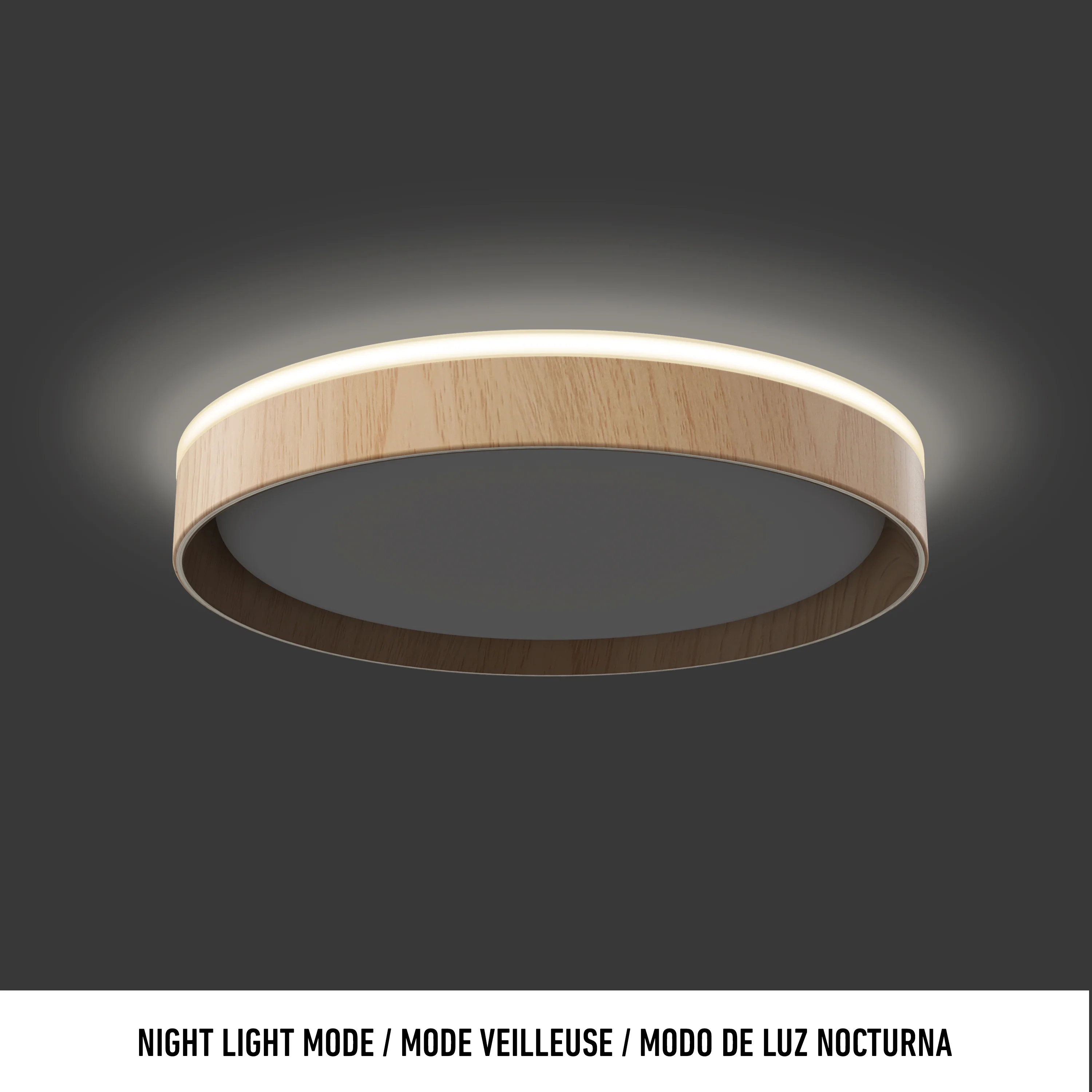 Callisto 15 in. LED flush mount light 5 CCT - Image 16