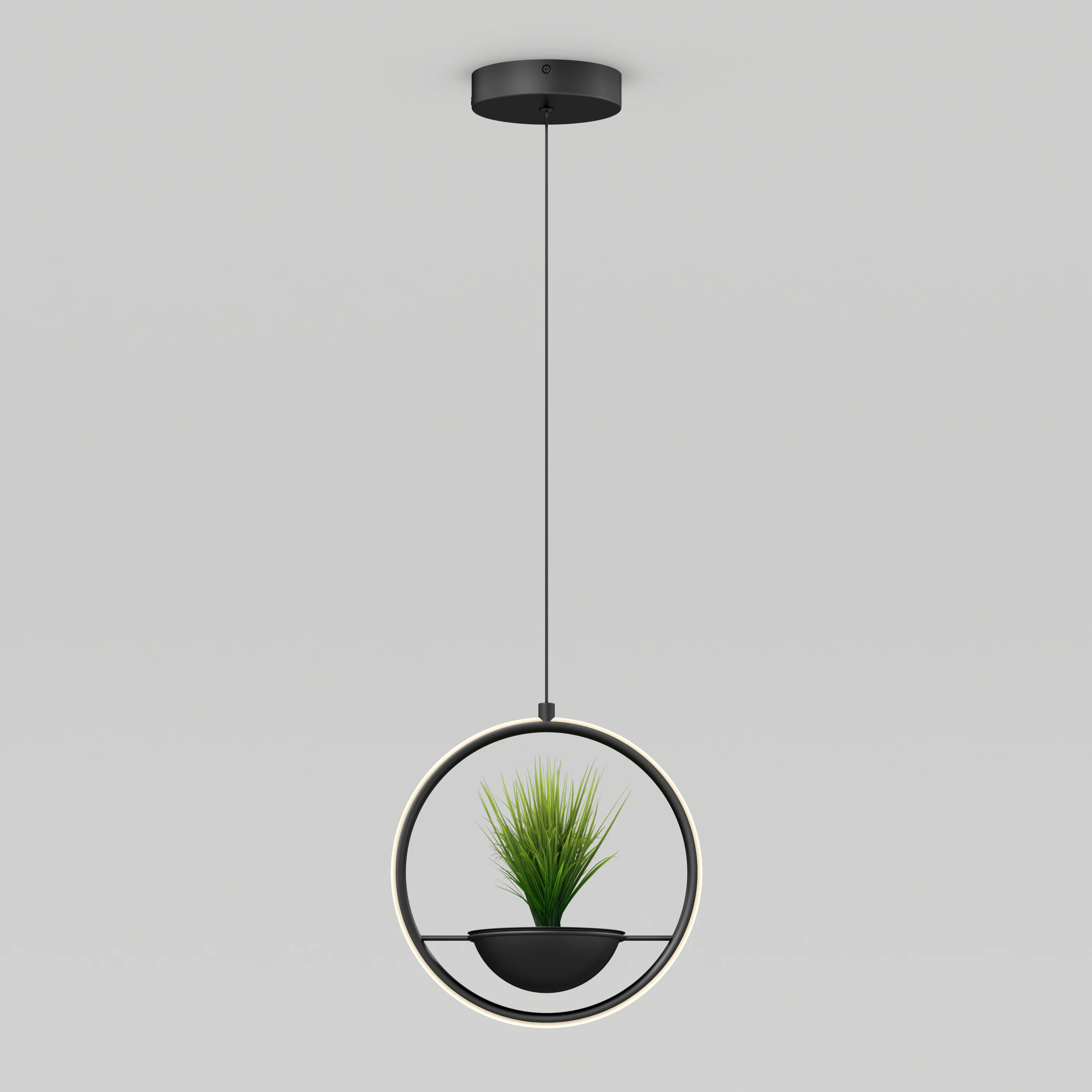 Colin LED modern planter pendant light 5 CCT - Image 3