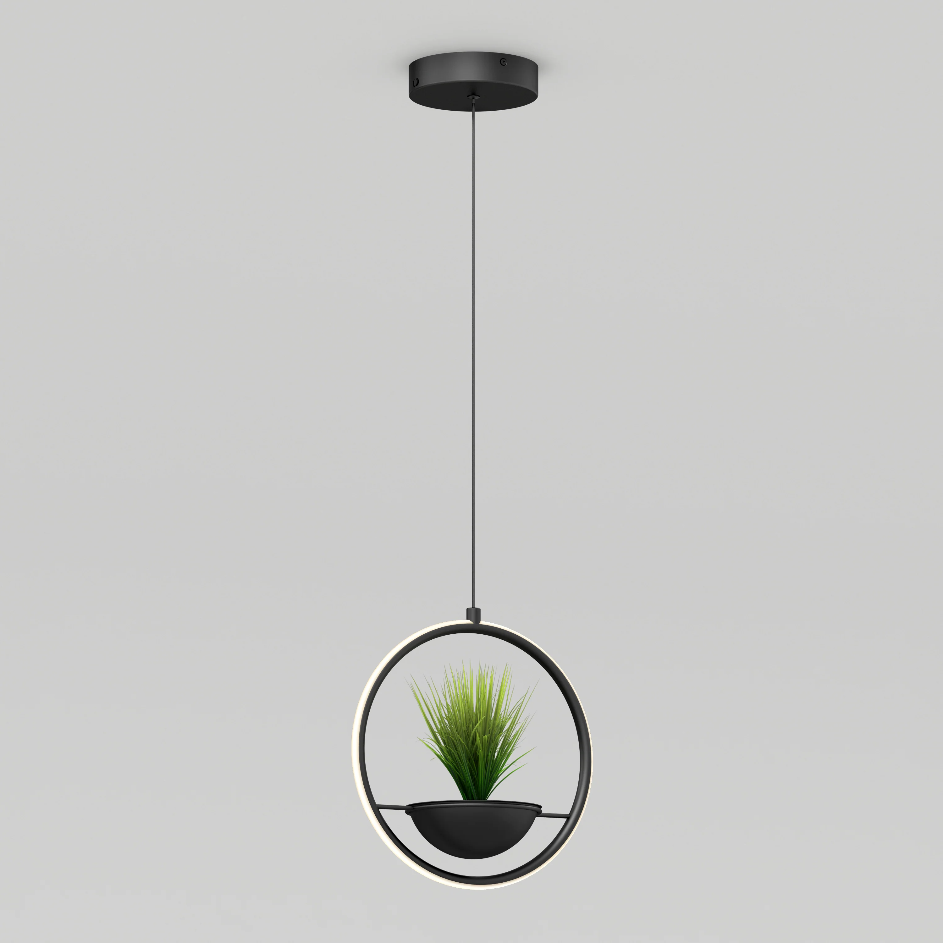 Colin LED modern planter pendant light 5 CCT - Image 4