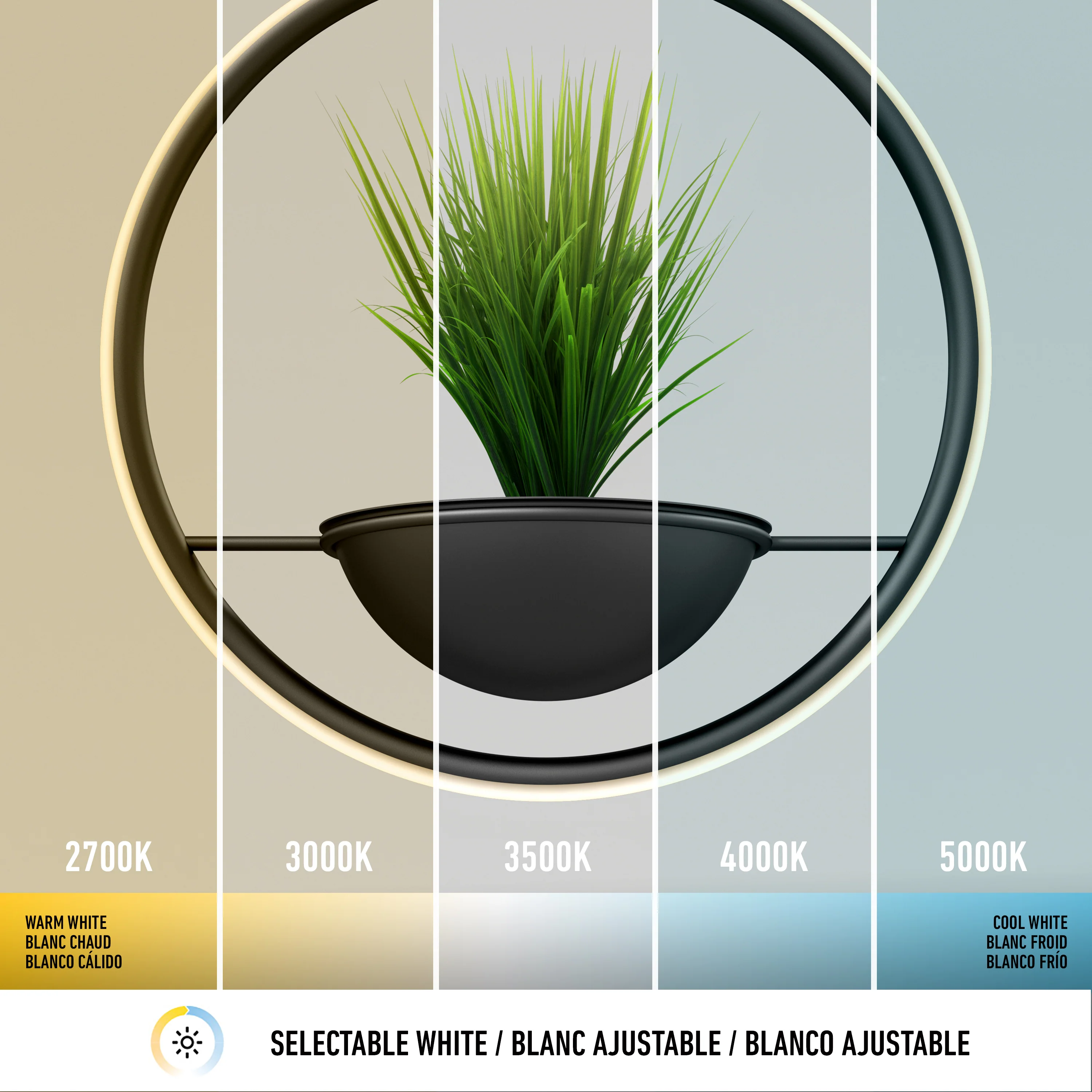 Colin LED modern planter pendant light 5 CCT - Image 7