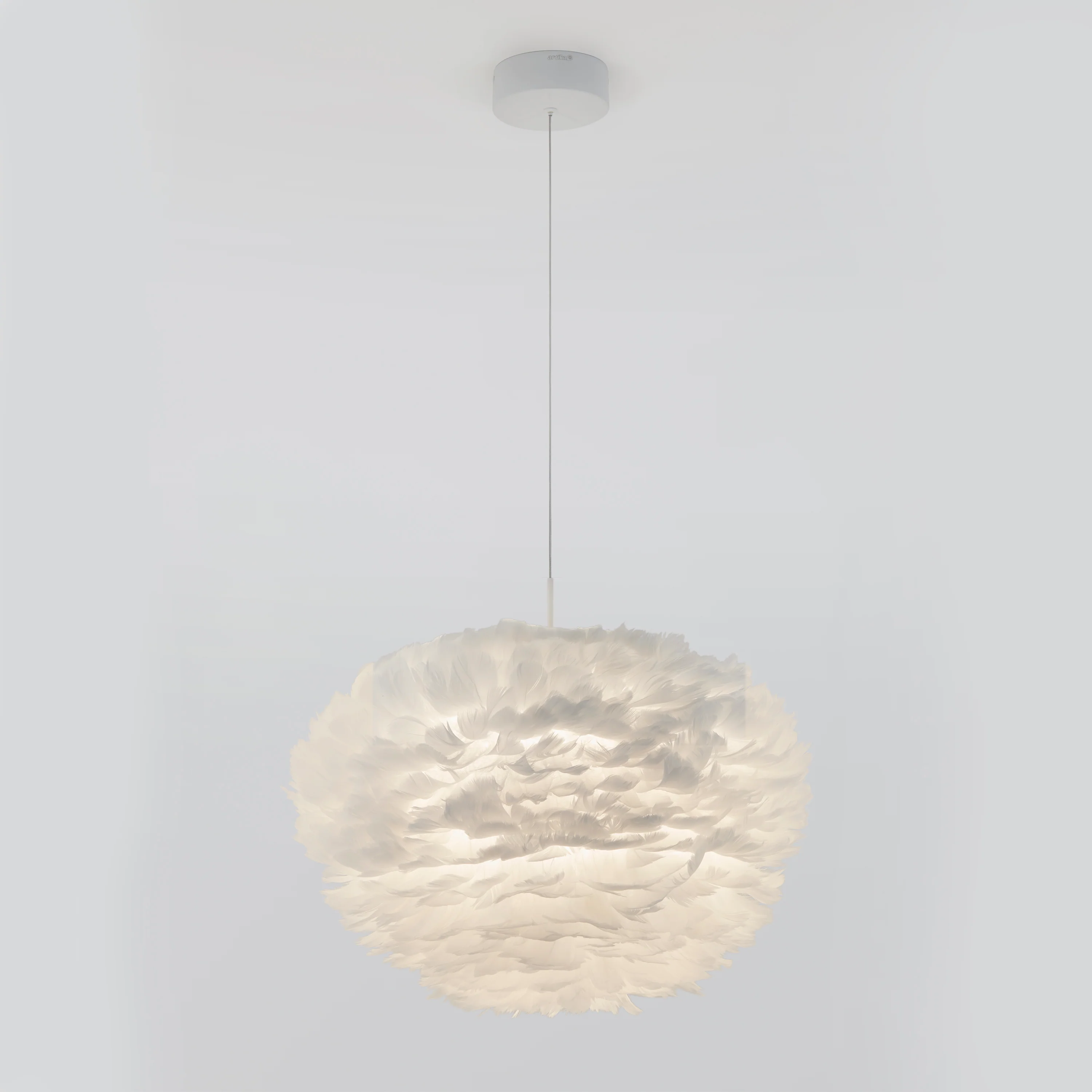 Plume LED pendant light