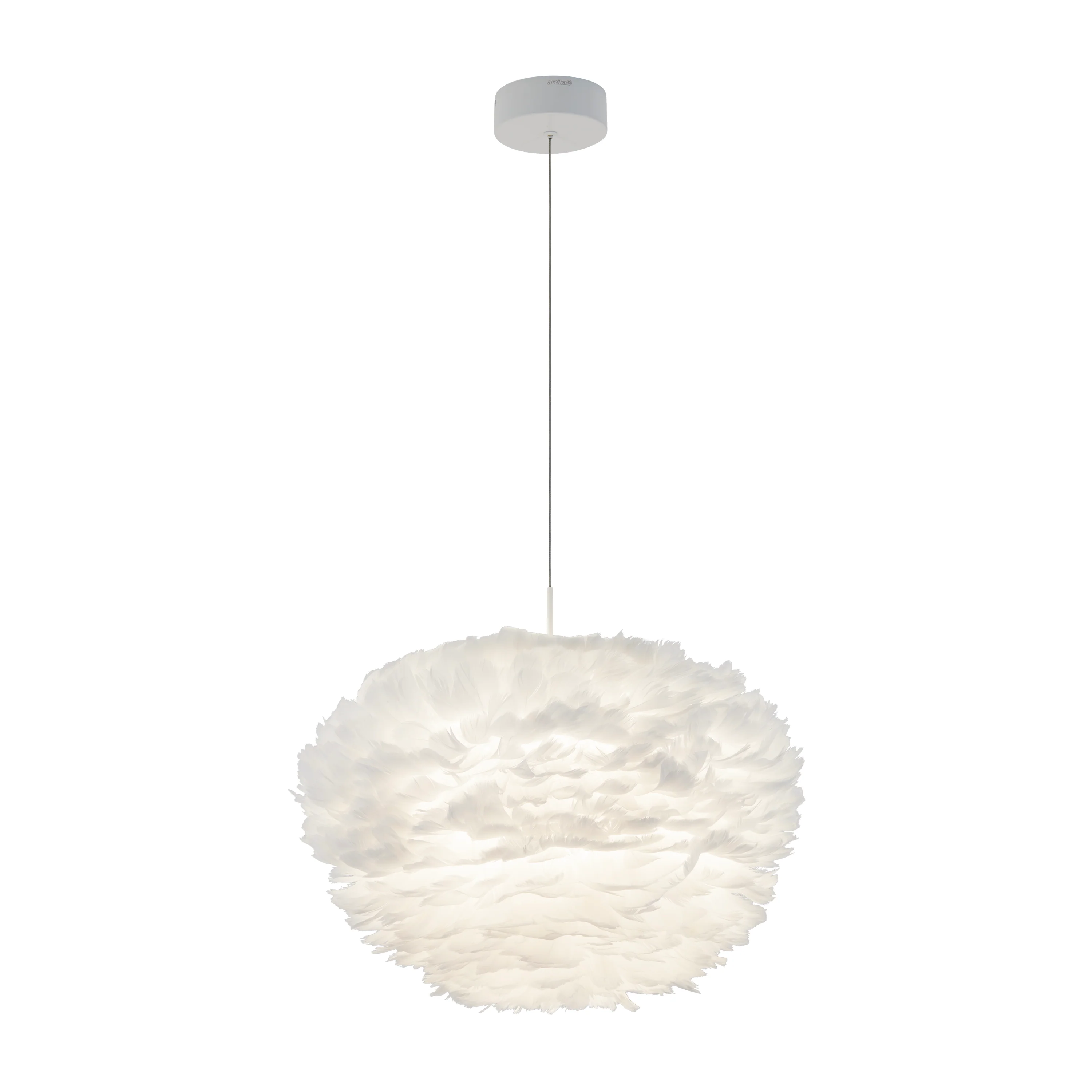 Plume LED pendant light - Image 12