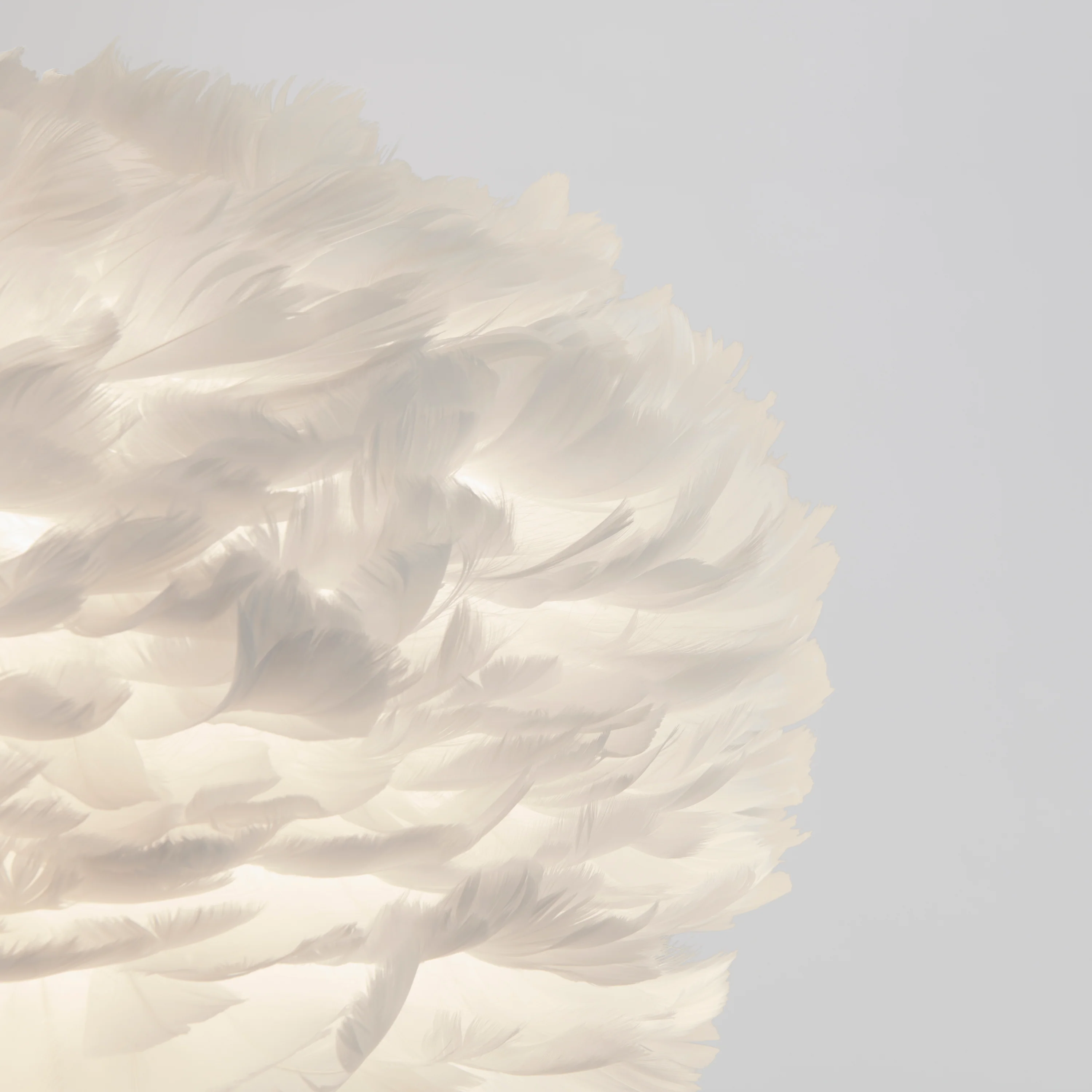 Plume LED pendant light - Image 3