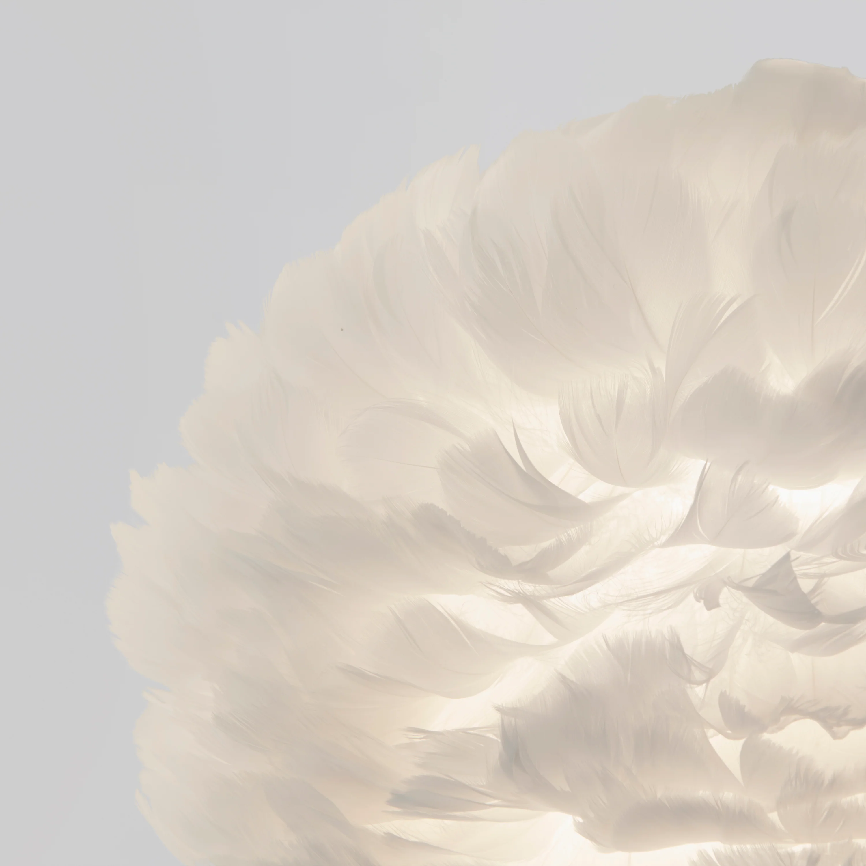 Plume LED pendant light - Image 5