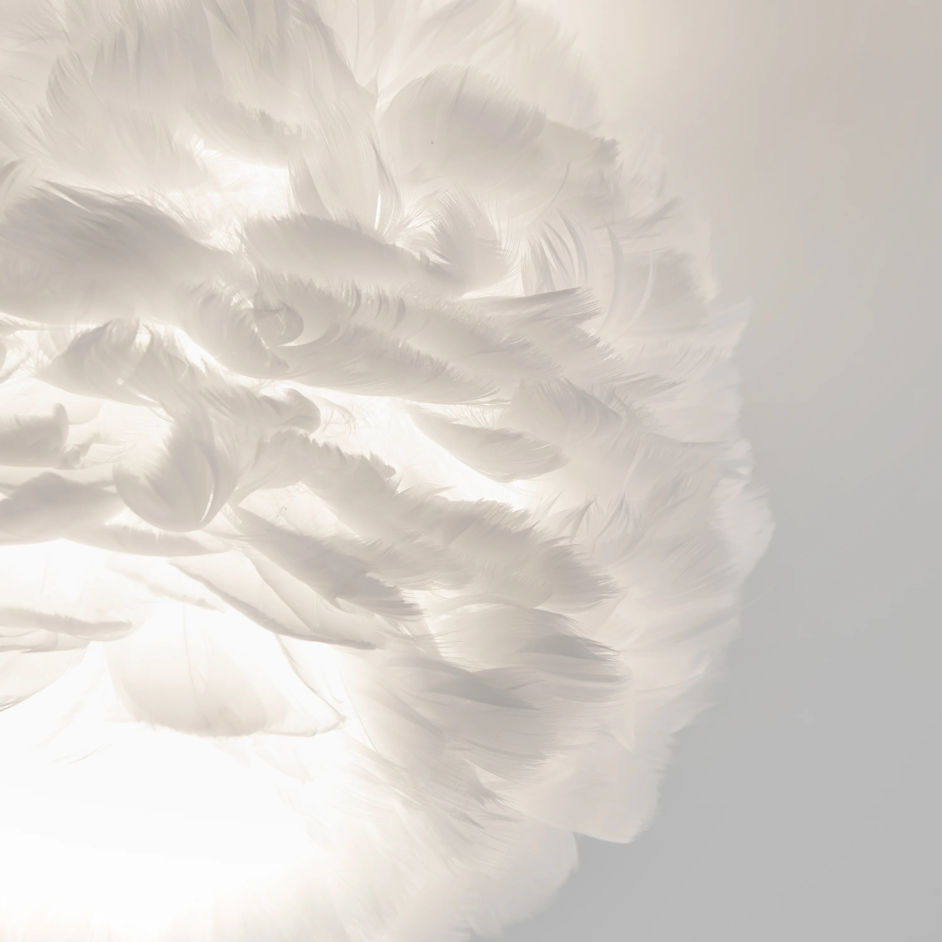 Plume LED flush mount light - Image 4