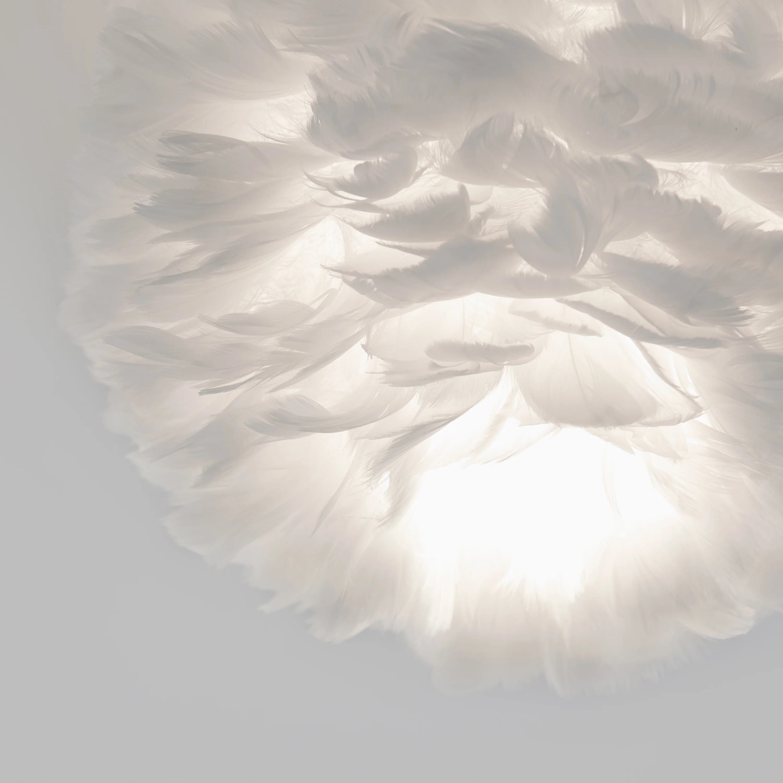 Plume LED flush mount light - Image 6